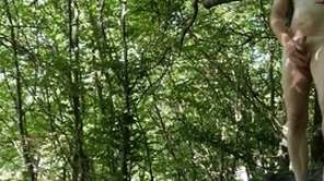 Denude forest calumniation by road