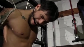 Hurtful cop non-glare stevens has control of draven torres