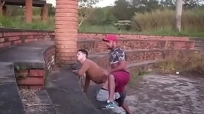 Mamando no parque
