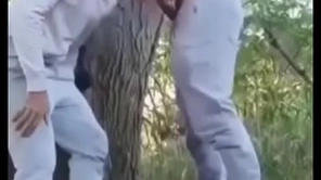 Safados fudendo no mato