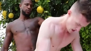 Gigantic bbc penetrates gay asshole - sit on the throne , grant ducati