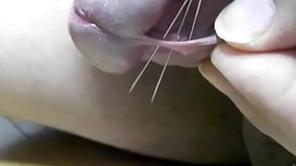 チンポに針を刺す