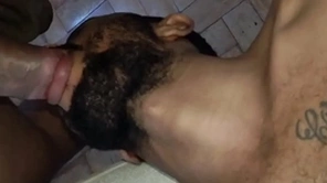 Chupando o sacao do africano cavalo